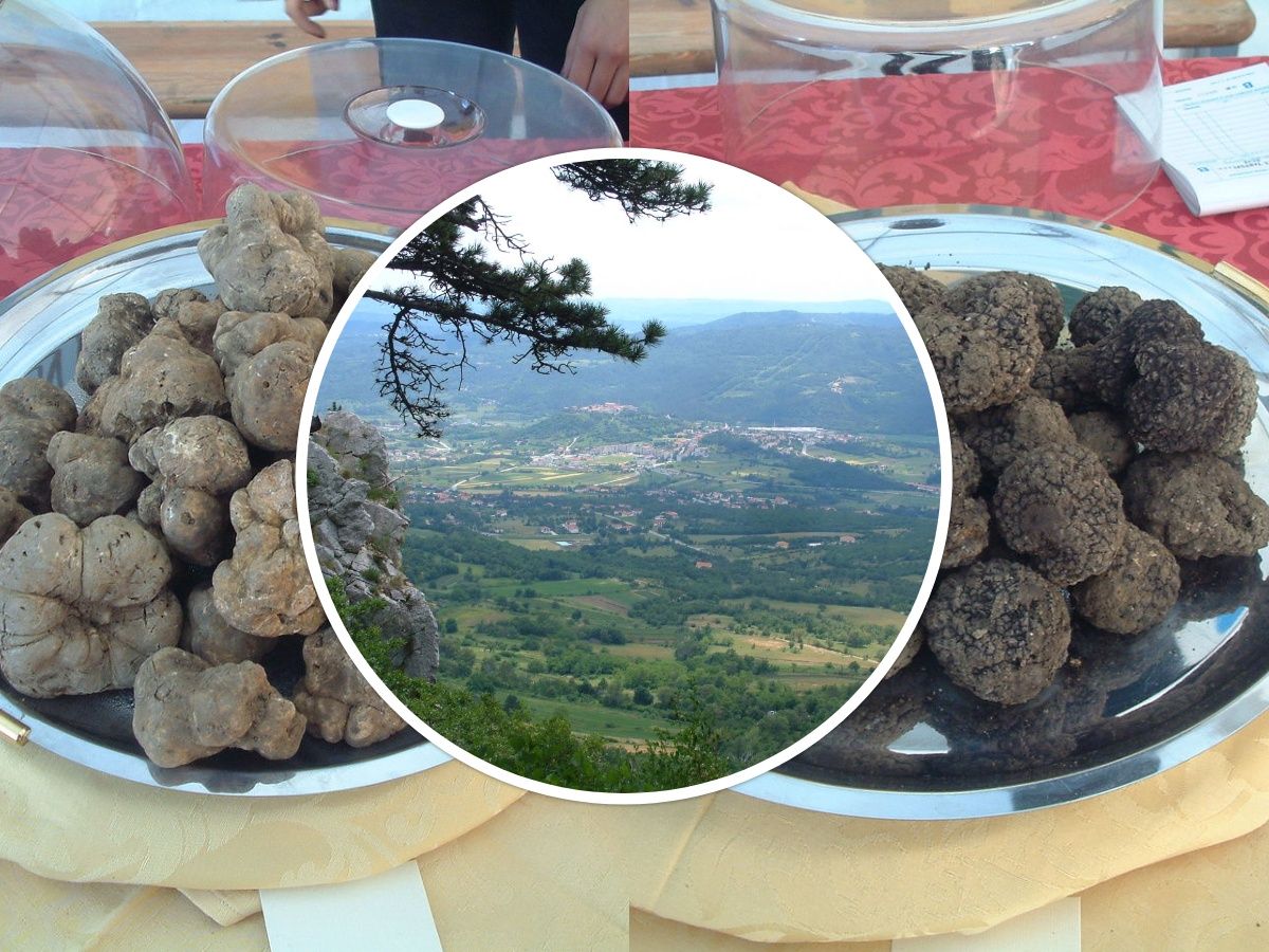Istarski Buzet posebno privlači turiste a nazivaju ga i gradom tartufa