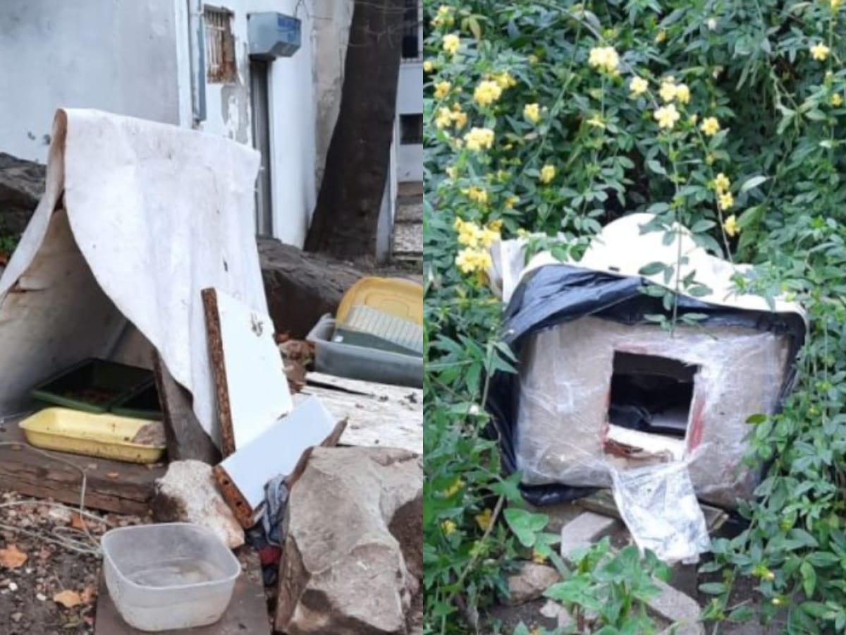 NARUŠENA ESTETIKA U Splitu se žale na nastambe za mačke po centru grada