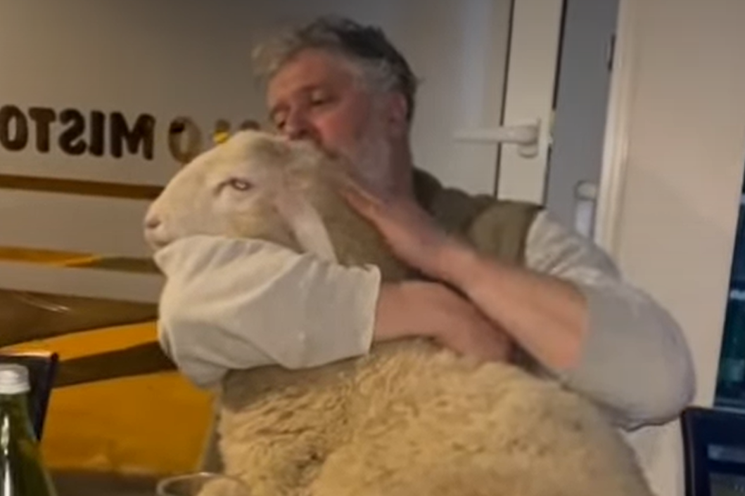 VIDEO Ričard nastavio turneju po Dalmaciji, a u Solinu mu je netko darovao - ovcu!