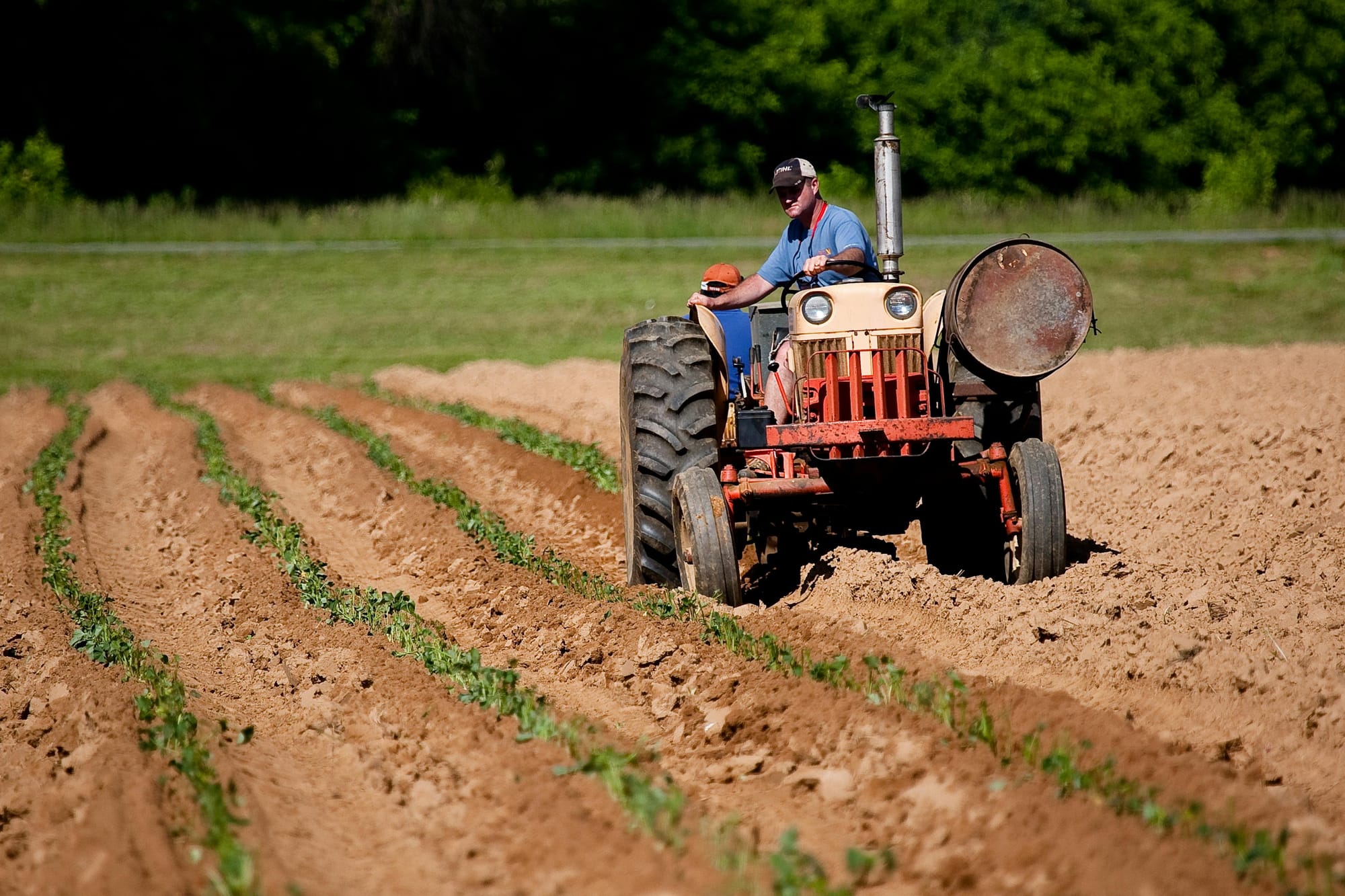 NEPOSTOJEĆI TRAKTOR Šibenčanin ga je pokušao kupiti,no sve je pošlo po zlu!