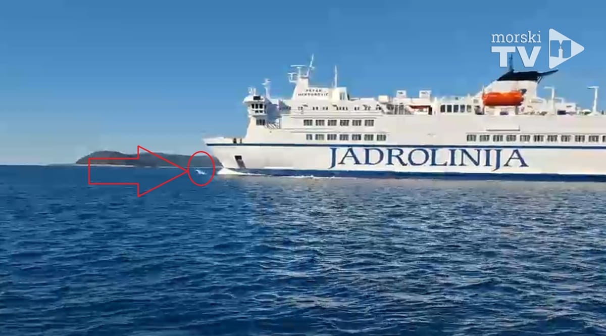 VIDEO Dupini jedva čekali isplovljavanje trajekta za Vis: "Skakali su ispred prove i puštali da ih bulb gura..."