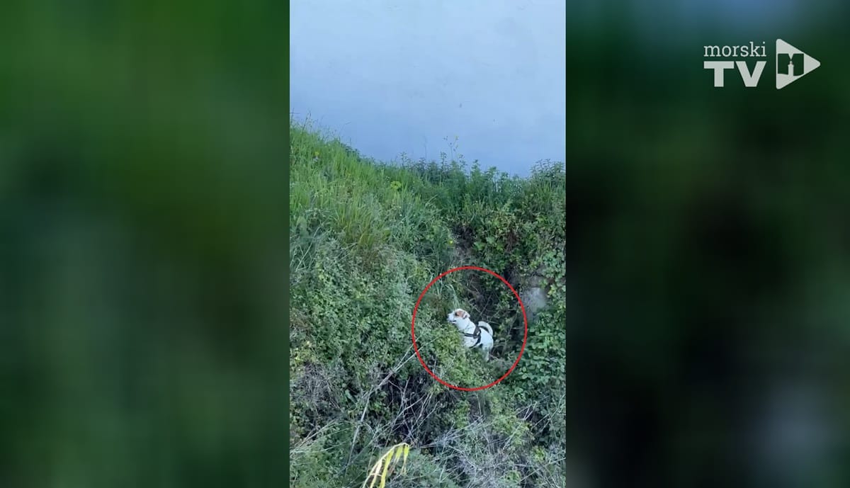 VIDEO Splitski vatrogasci spasili psića iz bunara, evo snimke