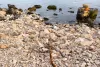 SRAMOTA U ZABLAĆU Plaža zatrpana šutom i hrđavim materijalom