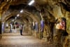 U Riječkom tunelu otvorena izložba podvodne fotografije "Iz jadranskog podmorja"