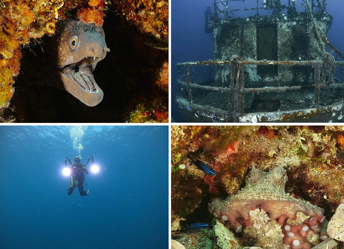FOTO Galerija iz dubina šibenskog arhipelaga: "Ne manjka olupina i fotogeničnih prizora"