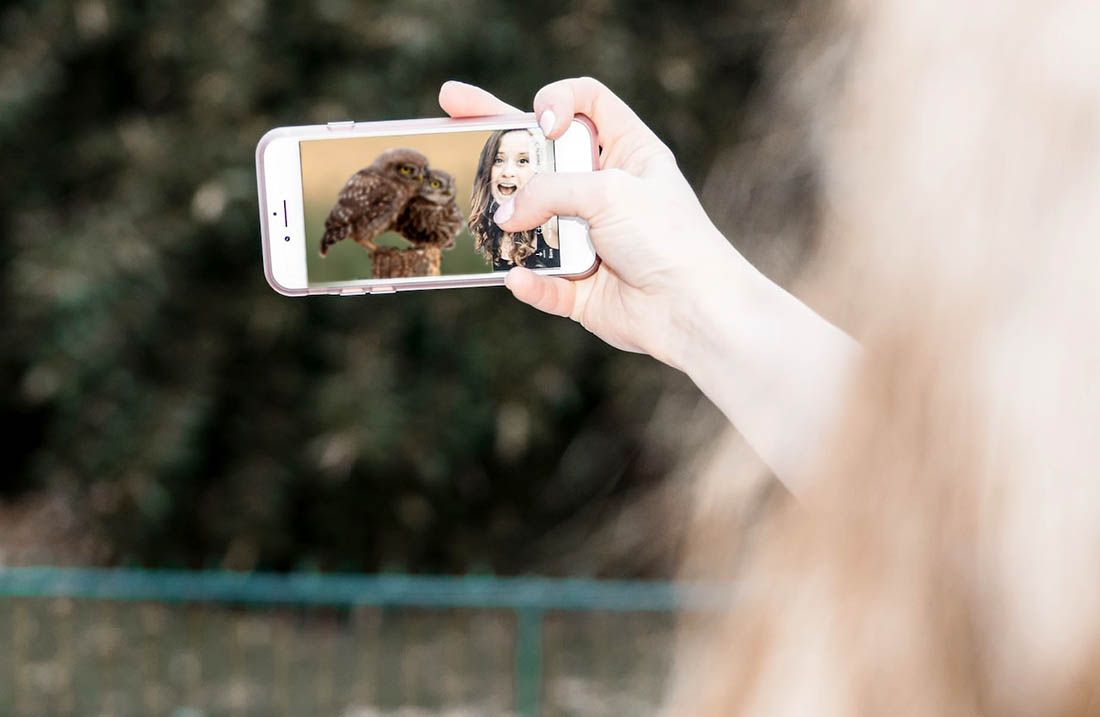 Udruga Biom upozorava: "Divlje ptice nisu za fotografiranje s turistima, prijavite kršenje zakona!"