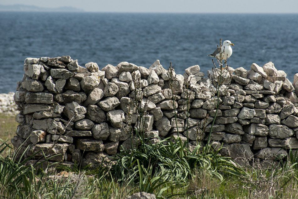LAŽNI MIT Od kud tvrdnja da su Dalmatinci lijeni ljudi?