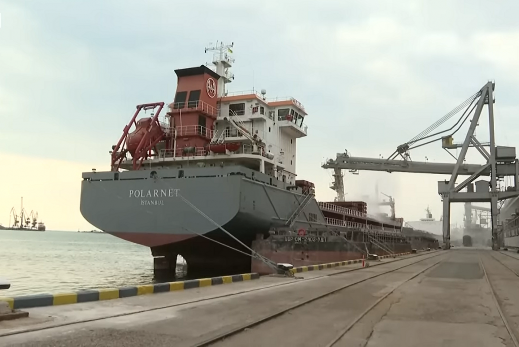 Iz Ukrajine izvezeno oko 720.000 tona hrane prema sporazumu o izvozu žita