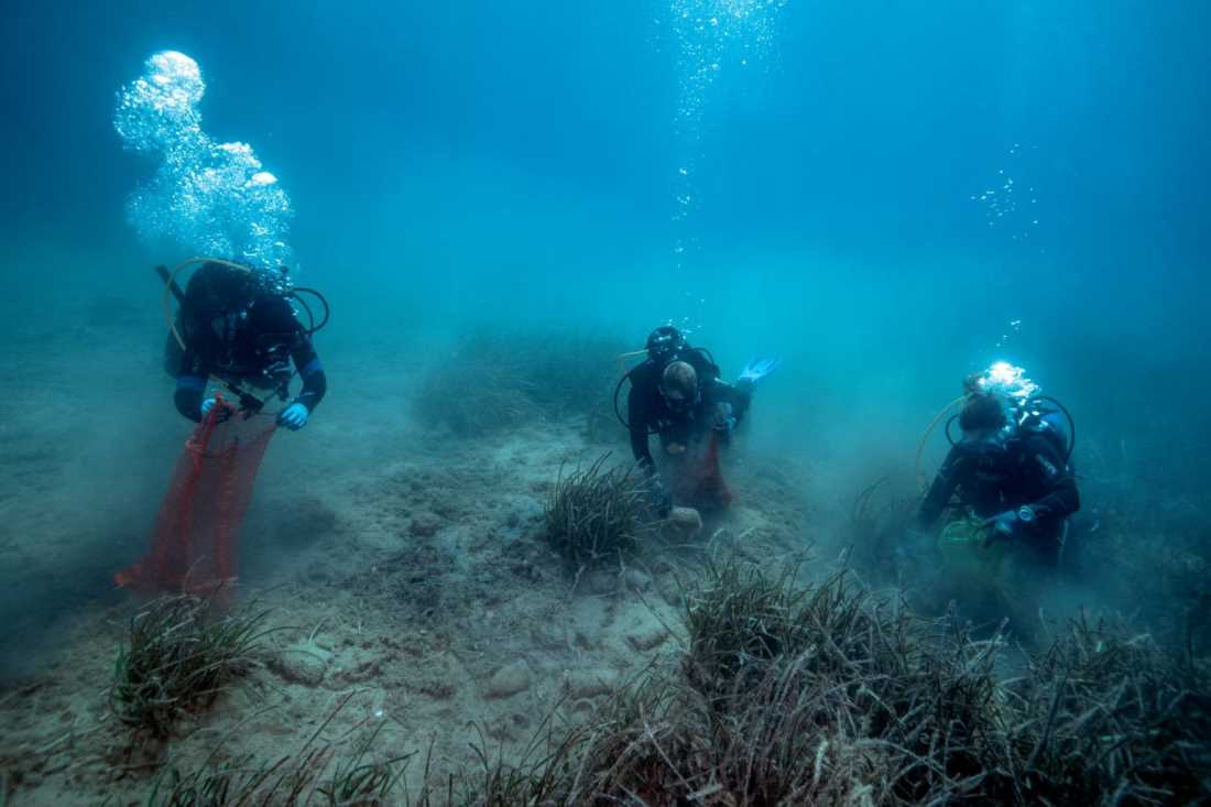 ČISTI SE KILOMETAR OBALE U ŠIBENIKU! Ovog vikenda 28. ekološka akcija Think green