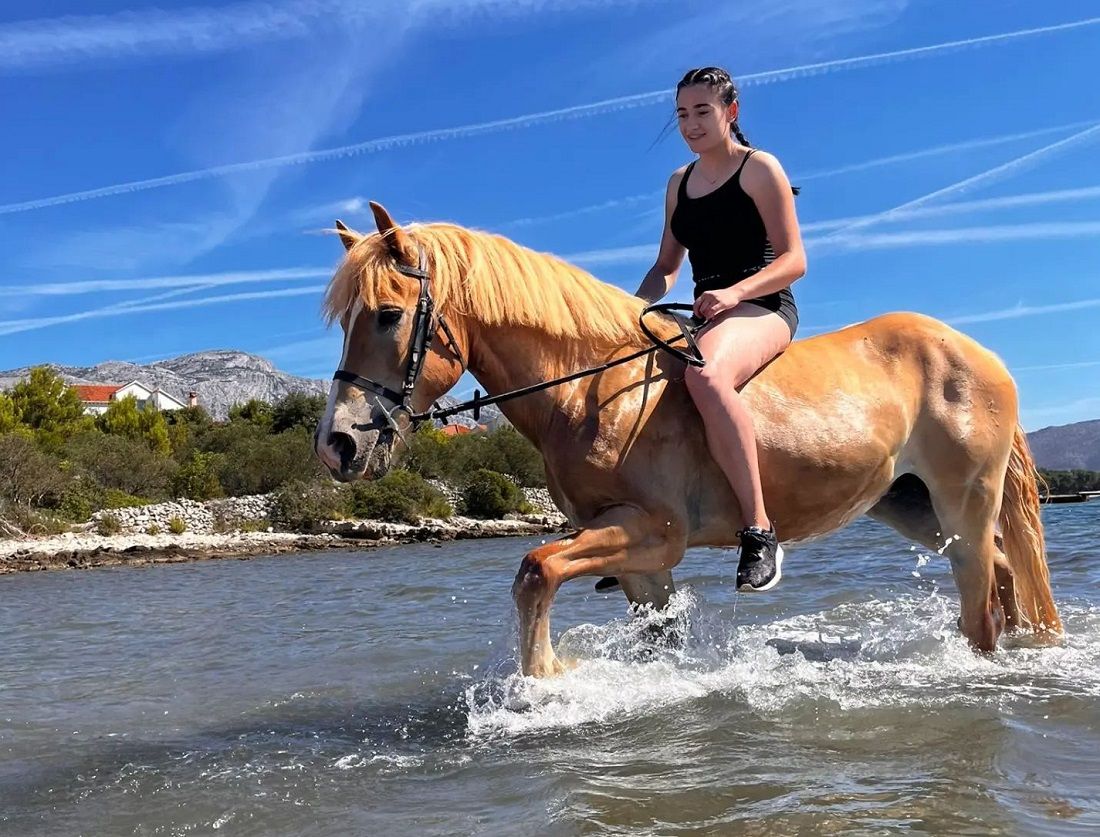 HIPOTERAPIJA NA KORČULI Jahanje konja u moru