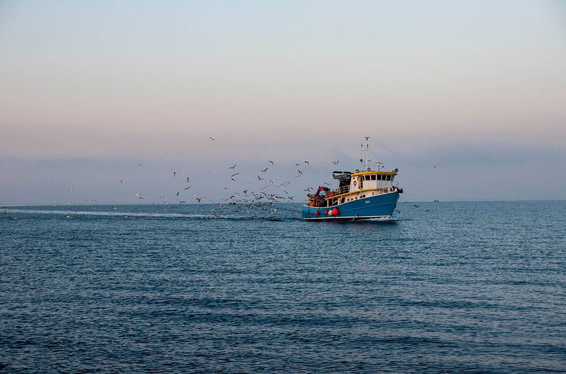 Na snazi je privremena obustava ribolova za koće kroz rujan-listopad