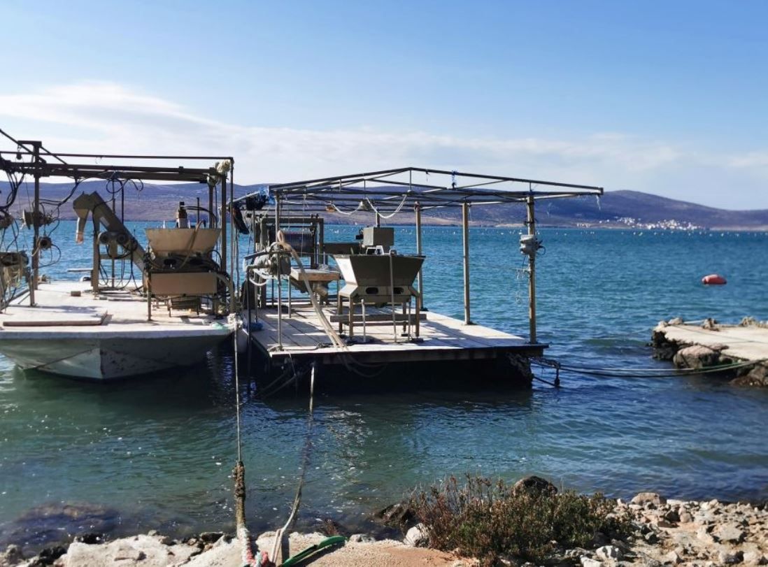 Širi se područje luka Seline i Vrsi zbog uzgajališta školjaka