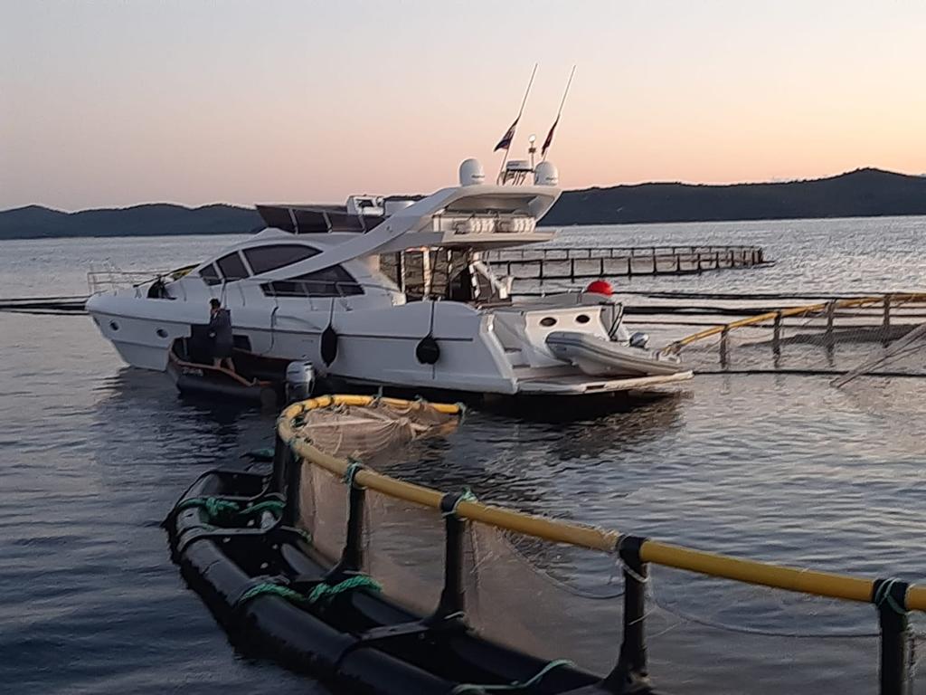 Bizarne okolnosti nesreće kod Cromarisovih kaveza - Je li vlasnik jahte ujedno vlasnik drugog ribogojilišta?