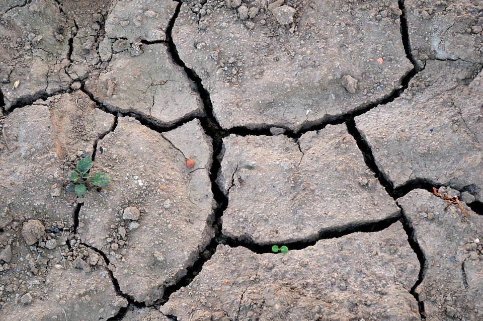 Ovo ljeto bilo je najtoplije u posljednjih 140 godina - Doseglo je kritičnu granicu klimatskih promjena