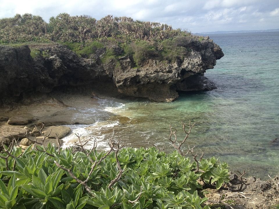 Pokojni tvorac 'Yu-Gi-Oh'-a - Heroj koji je poginuo spašavajući djevojčicu iz mora