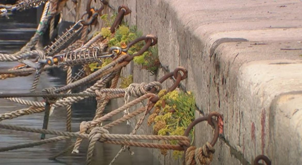 KRONIČAN NEDOSTATAK VEZOVA Lučke uprave nastoje uvesti reda u tzv. 'liste čekanja' no tko i pod kojim uvjetima, na njega ima pravo?