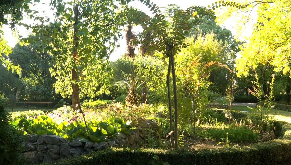 Propada botanički vrt u Kaštel Lukšiću - Jedini zaštićeni školski botanički vrt u Europi