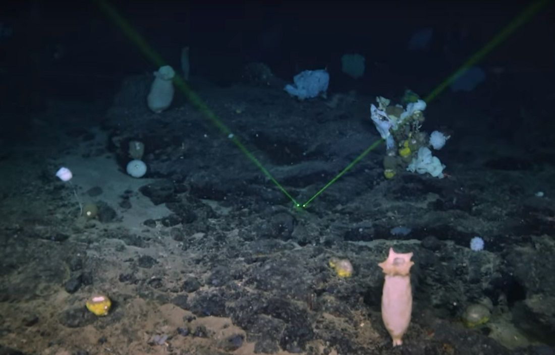 VIDEO U blizini olupine Titanika otkriveno do sad nezabilježeno otkriće!