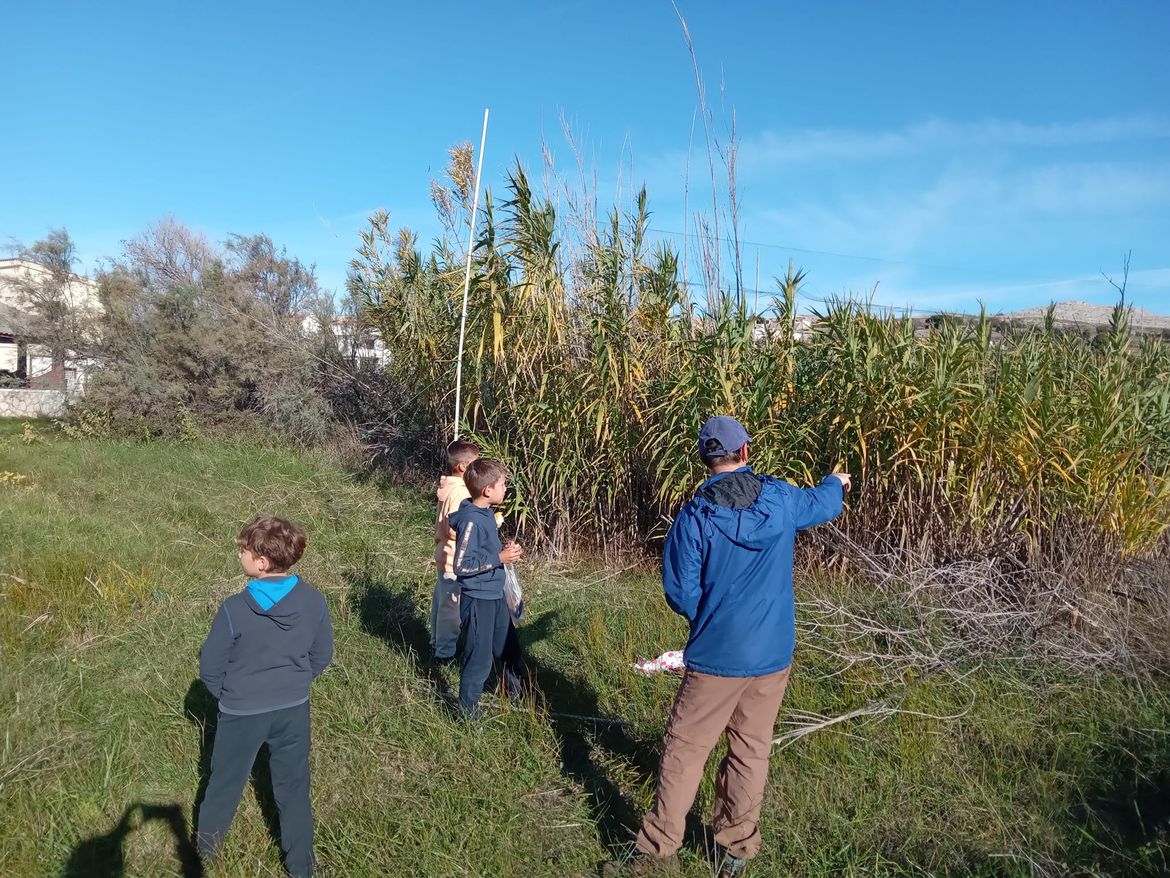 Održana radionica  prstenovanja ptica u Vlašićima na otoku Pagu