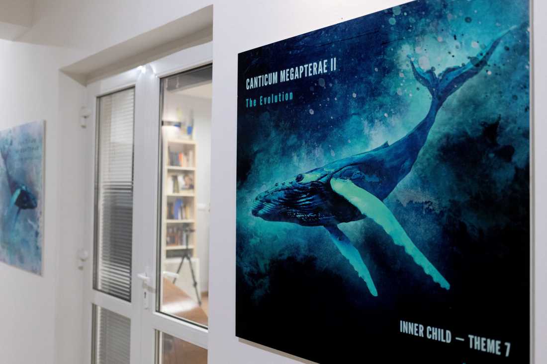 Spoj znanosti i umjetnosti: pjesme kitova i elektronska glazba