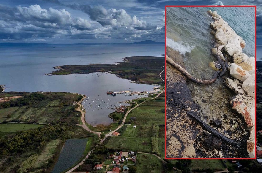 Nakon izlijevanja mazuta kod Ližnjana znanstvenici objasnili što nafta u moru čini živom svijetu Jadrana