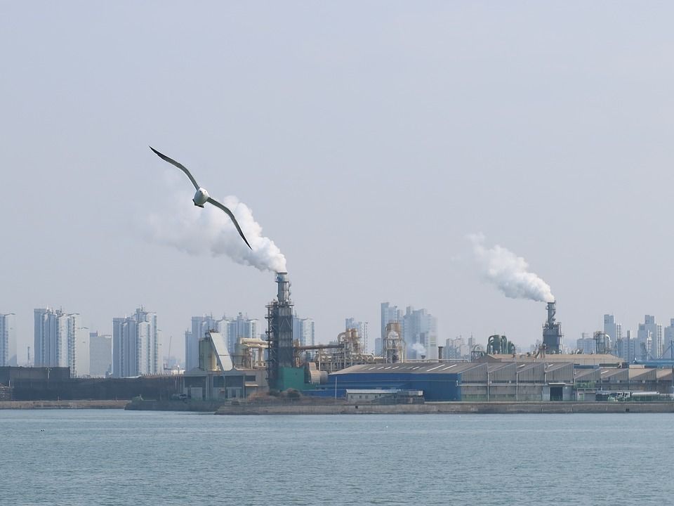 Zbog onečišćenja zraka u 2020. godini prerano umrlo 238.000 Europljana