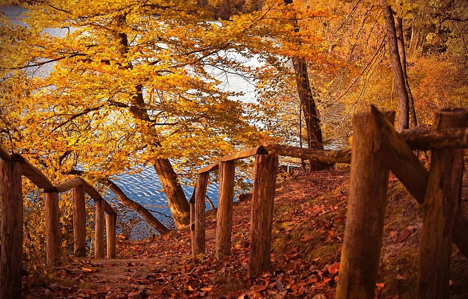 Listopad 2022. prema mjerenjima najtopliji u 30-ak godina u Europi