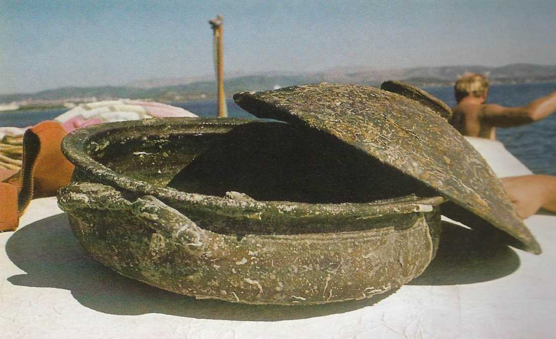 BLAGO ŠIBENSKOG PODMORJA 2 Plavac