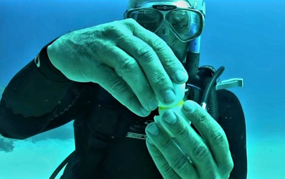 VIDEO: Pogledajte što se događa kada razbijete jaje na 20 metara morske dubine