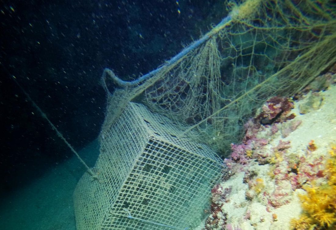Kad se mreža i vrša zapetljaju i postanu prijetnja...