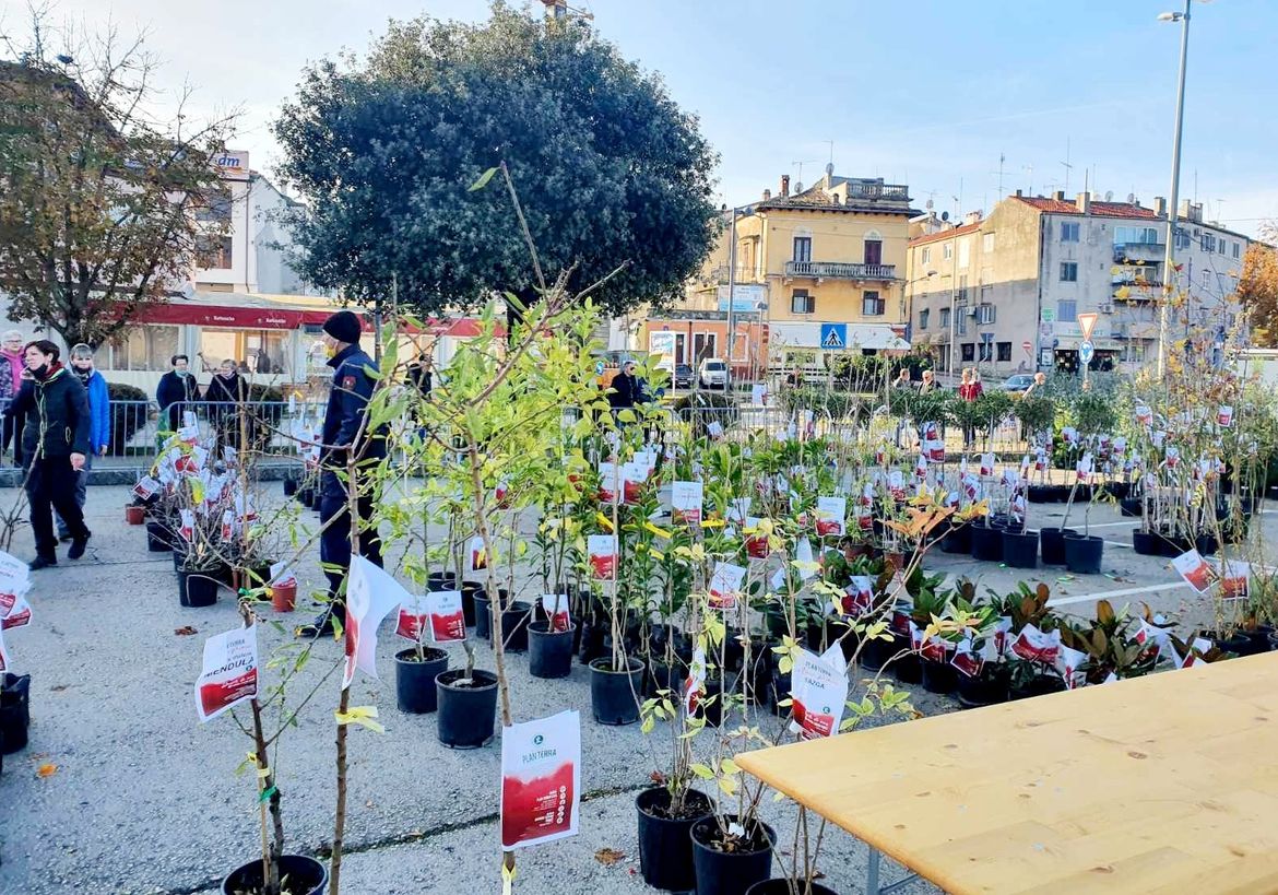 Zasadi stablo, ne budi panj sutra u Poreču