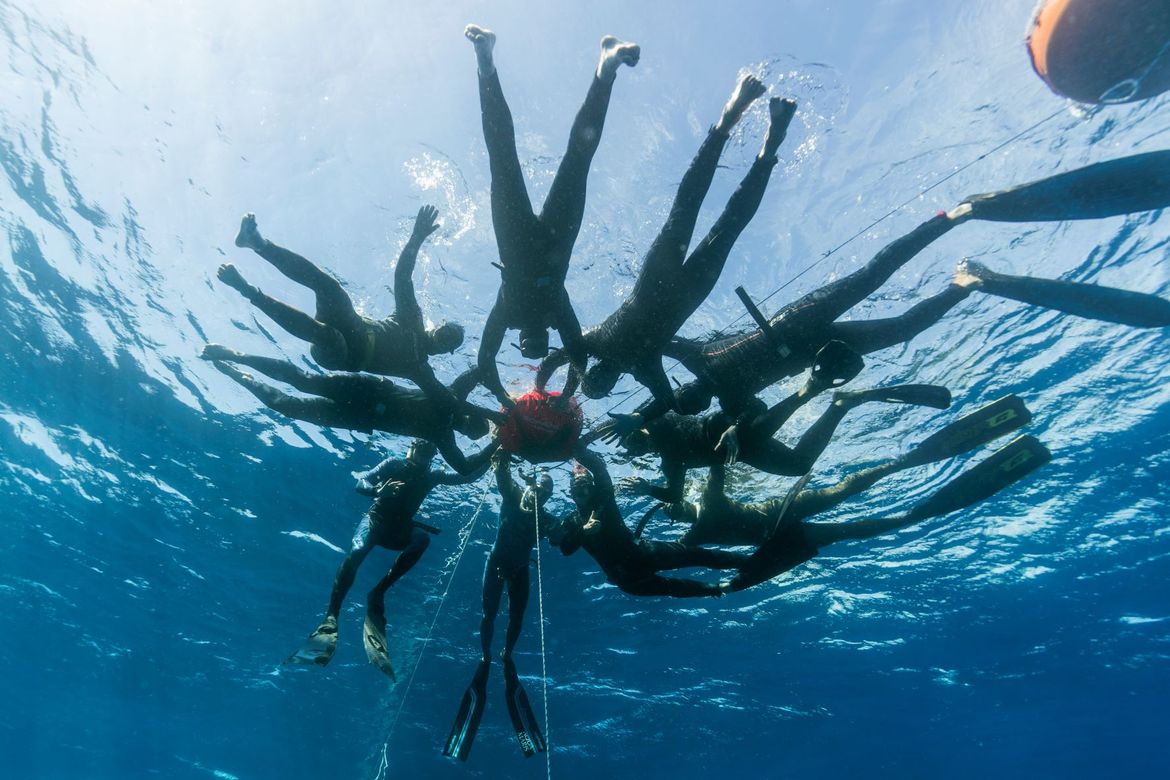 AIDA Hrvatska u protekloj godini održala niz radionica