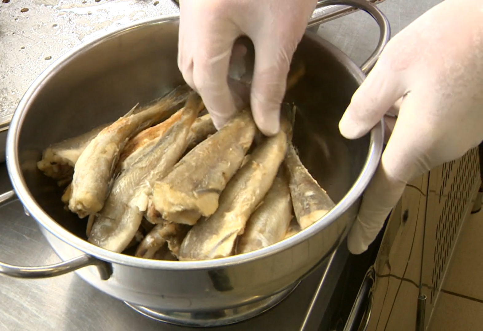 Riba na tanjurićima u vrtiću ne može biti svježija - Za to se brine jedan medulinski ribar