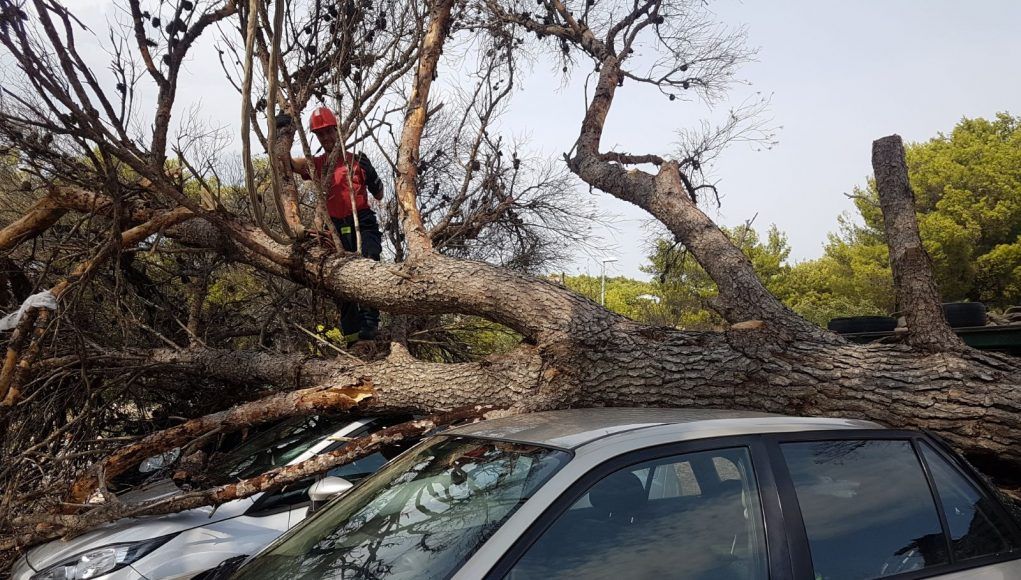 Bura ruši stabla, oštećuje krovove i automobile na širem području Rijeke