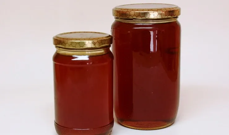 Goranski medun postao 39. hrvatski proizvod zaštićenog naziva u Europskoj uniji