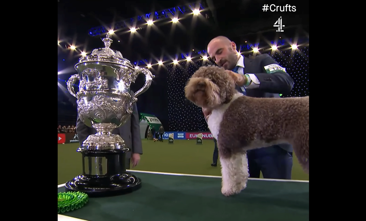 Orca iz Rijeke pobijedila na najstarijoj i najvećoj svjetskoj izložbi pasa