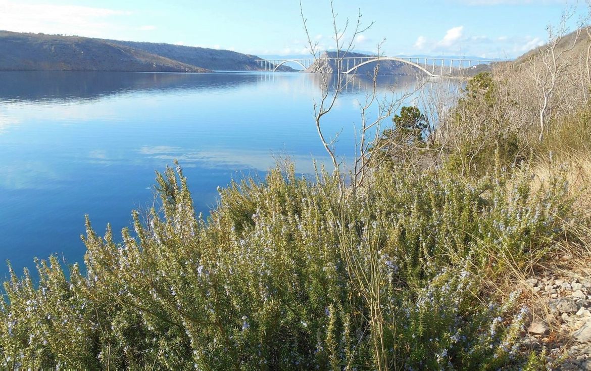 Šetnja uz more i Tihi kanal od Jadranova do Črišnjeve