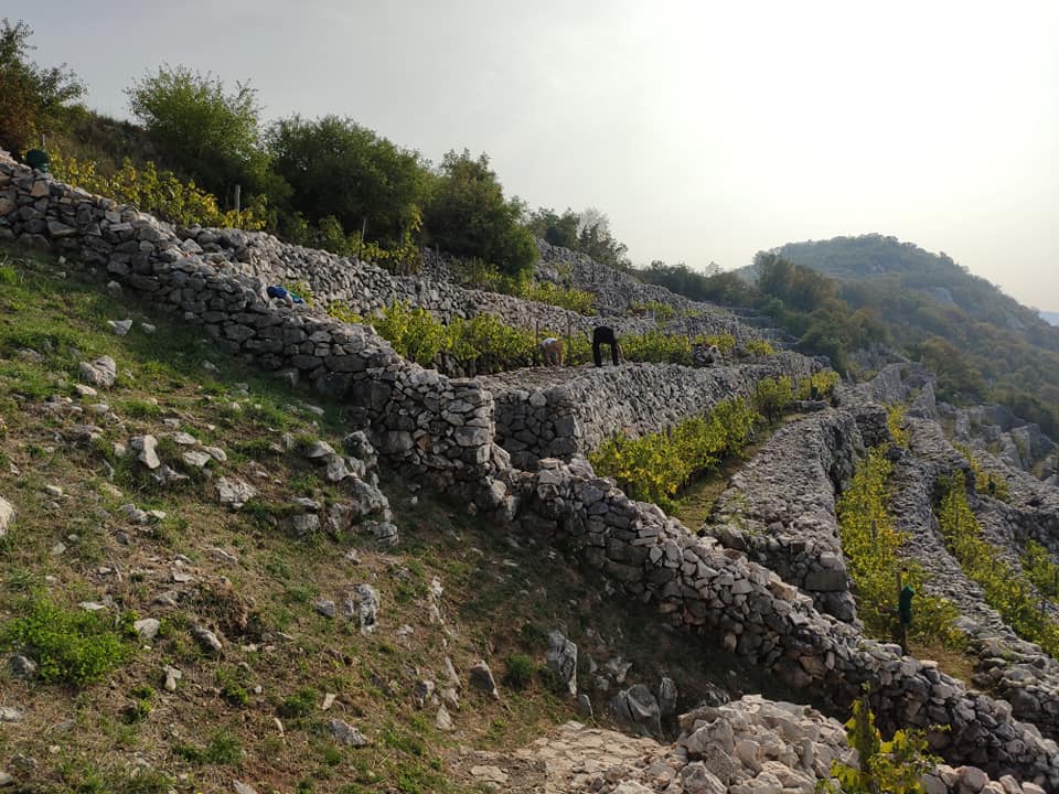 Irski, španjolski i riječki srednjoškolci posjetili Bakarske prezide