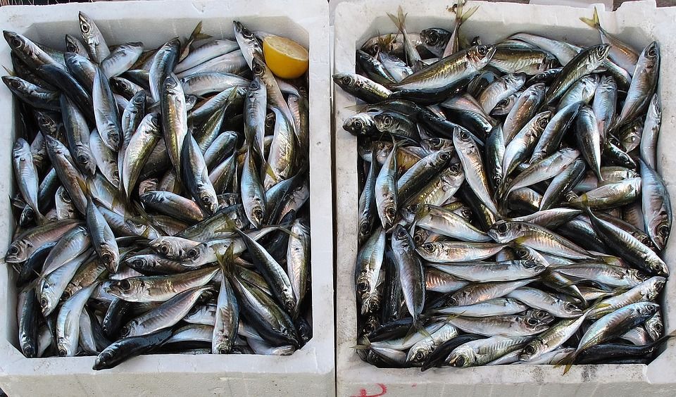 Vlasnica ribarnice koja nije podigla cijene: Nitko neće kupovati srdelu po 40 kuna