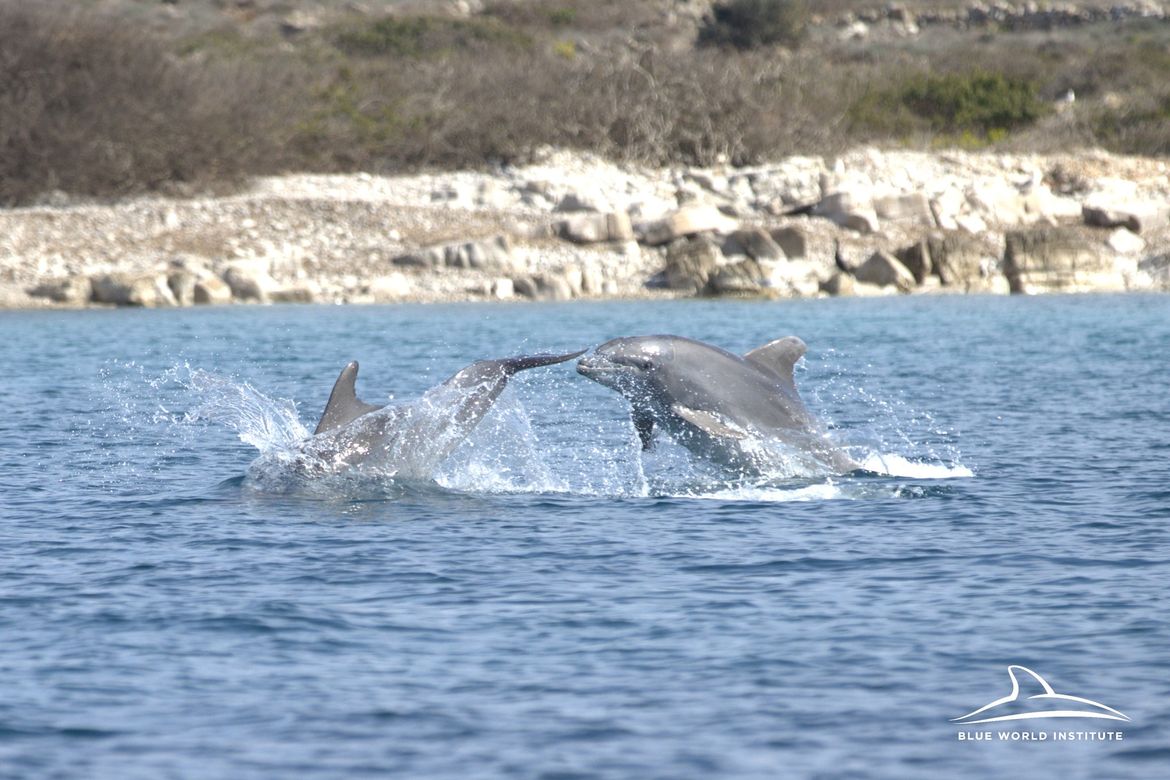 Dupin Meta uskršnje praznike proveo je s mamom Mirnom