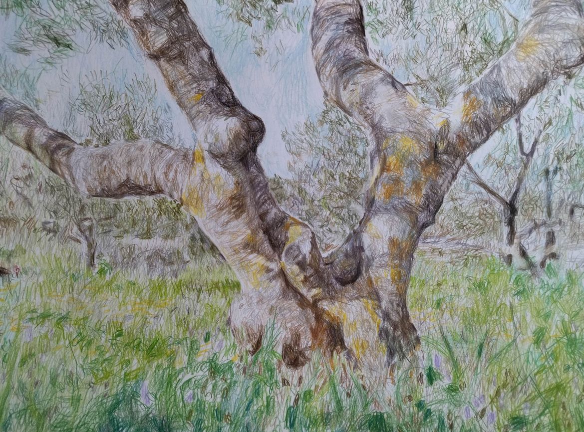 U Creskom muzeju otvara se izložba 'Otok' autorice Nevene Petre Piližote