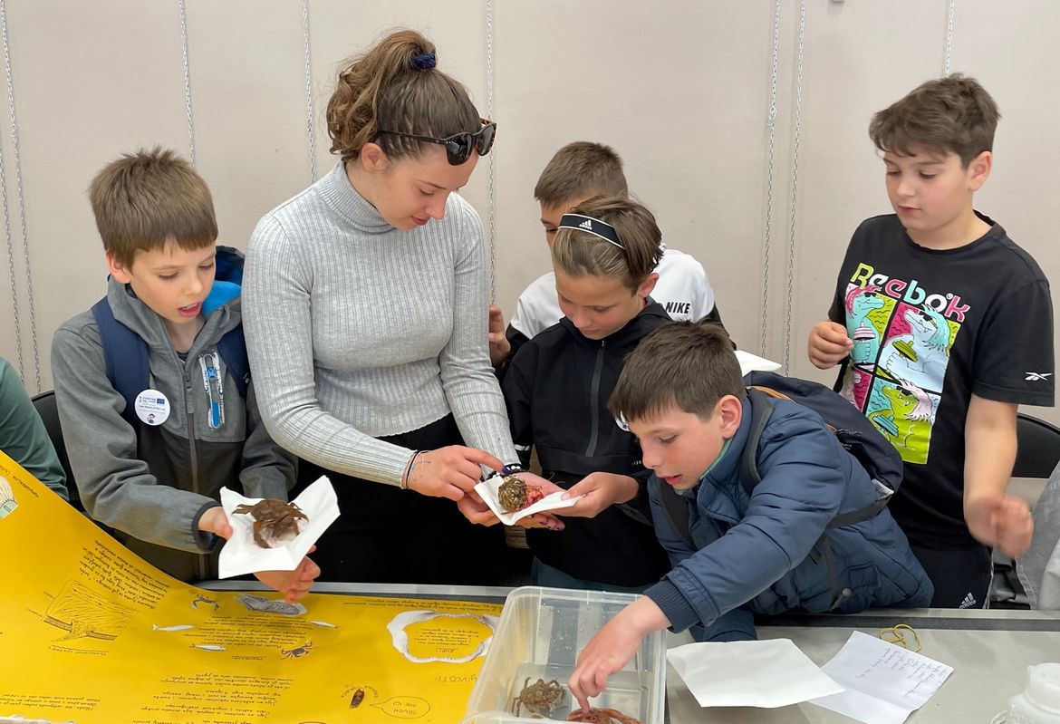 U Puli održana manifestacija 'Mi smo prijatelji mora - We are friends od the sea'