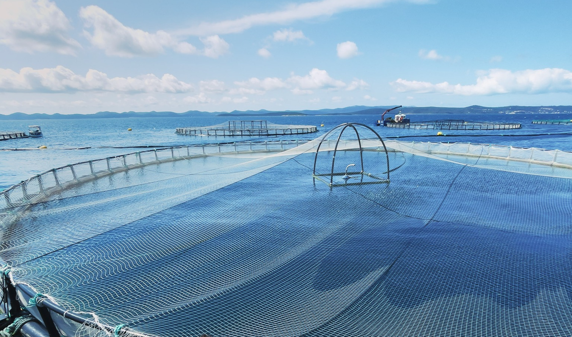 Mali ribari zbog kaveza ne mogu loviti