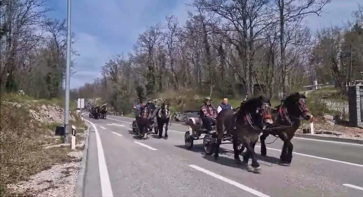 VIDEO Ljubitelji konja i kočija održali promenadnu vožnju matuljskim zaleđem