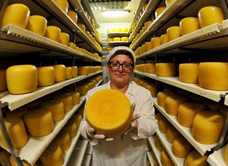 VESNA LOBORIKA Uspješna obiteljska priča o proizvodnji sira