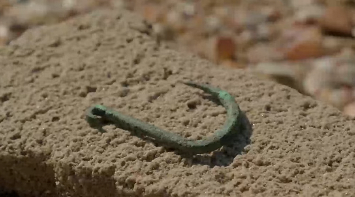 VIDEO Pronašli dokaz da je još prije 6000 godina morski pas bio na jelovniku