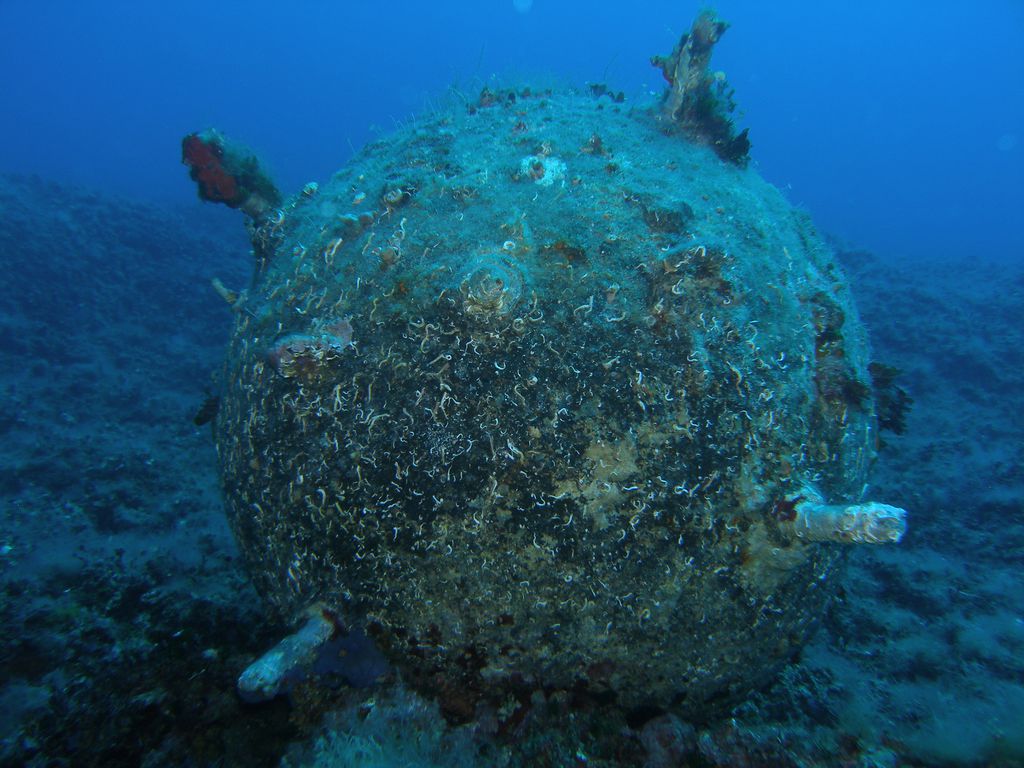 Samo 20 metara od obale turističkog mjesta velika bomba - Načelnica: "Prvi put čujem za to!"