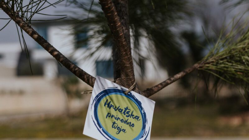 Sadnjom pinija Kostrena se uključila u projekt HTZ-a "Hrvatska prirodno tvoja"
