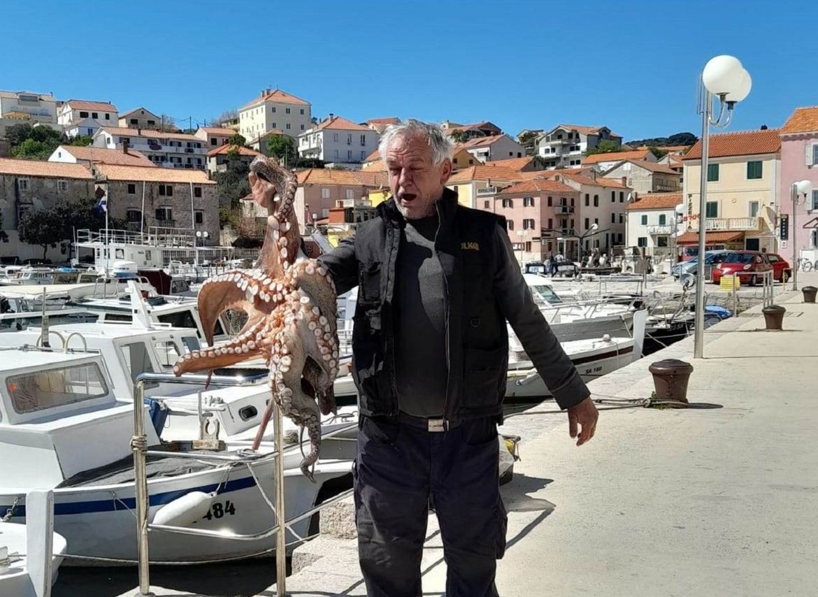 FOTO/VIDEO Ostima u saljskom portu ulovio hobotnicu od 11,10 kg!