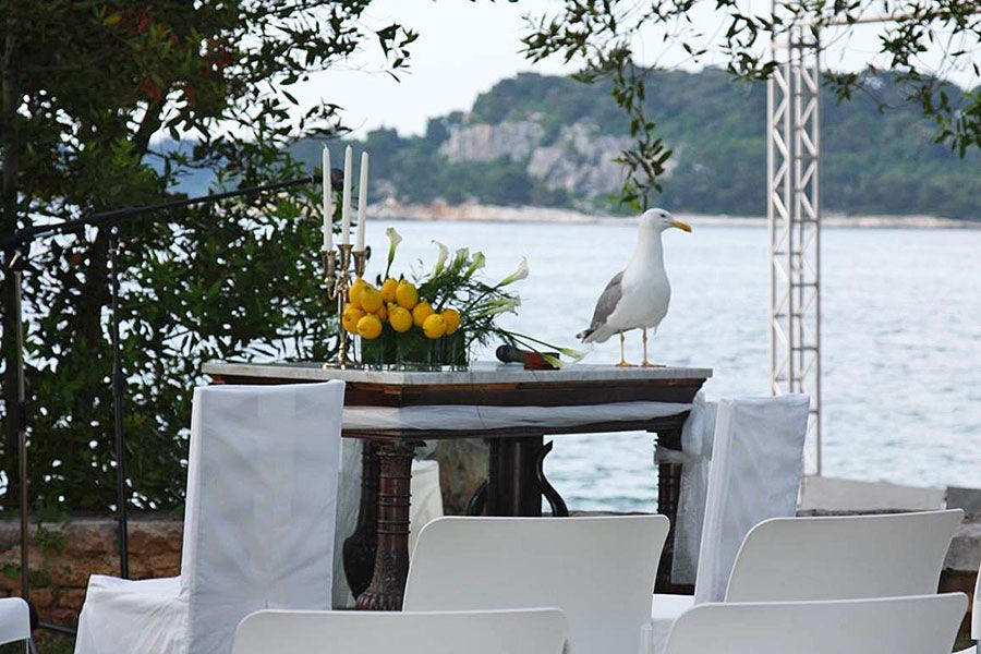 U Poreču se nastavlja uspješna kontrola populacije galebova - Građani mogu prijaviti lokacije gniježđenja